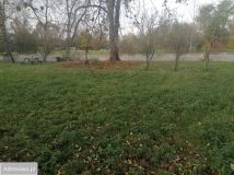 Działka budowlana Starachowice Michałów Dolny, ul. Ostrowiecka. Zdjęcie 2