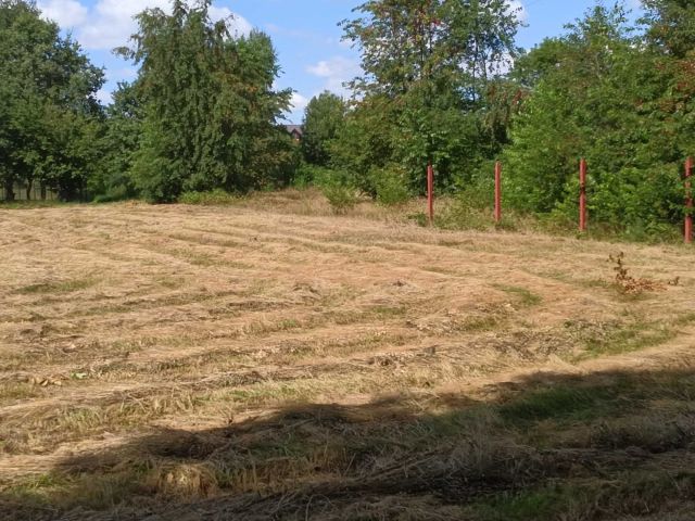 Działka rolna Rybnik. Zdjęcie 1