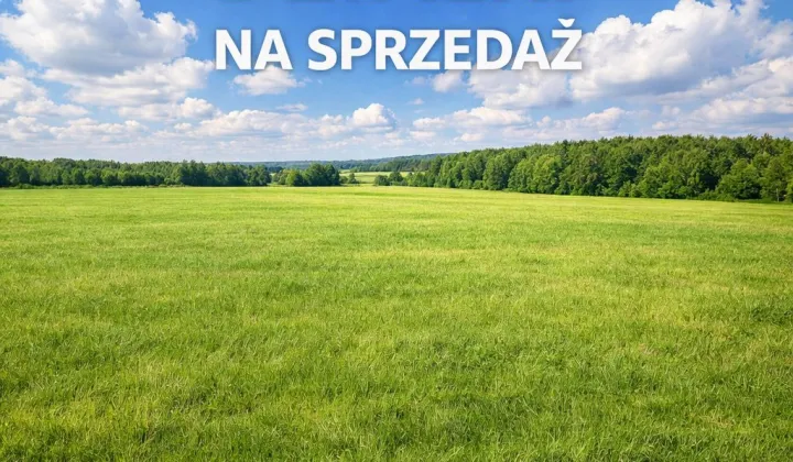 Działka budowlana Papowo Toruńskie, ul. Kasztanowa