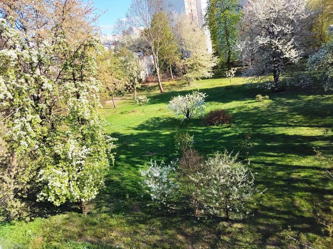 Mieszkanie 1-pokojowe Warszawa Praga-Południe, ul. Angorska. Zdjęcie 9