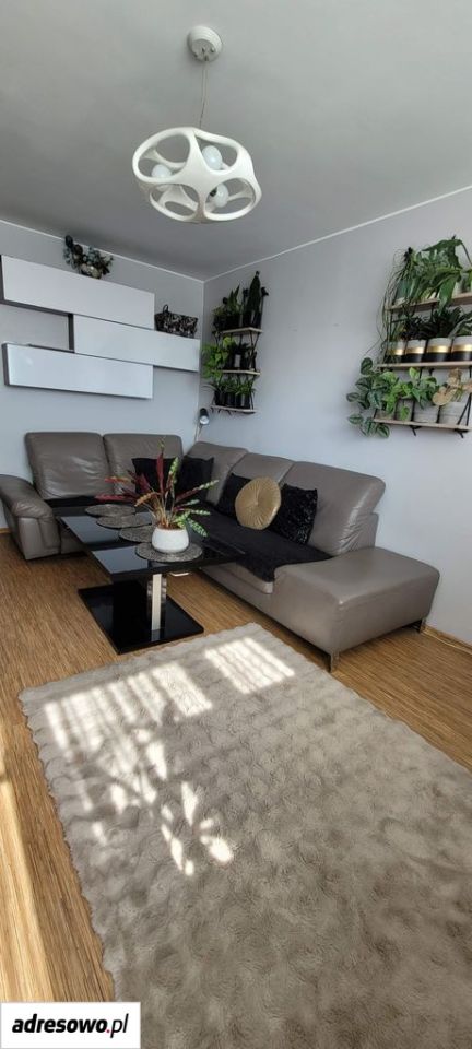 Mieszkanie 3-pokojowe Oleśnica Centrum, pl. Zwycięstwa. Zdjęcie 18