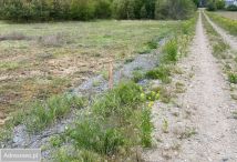 Działka budowlana Młyniec Drugi. Zdjęcie 3