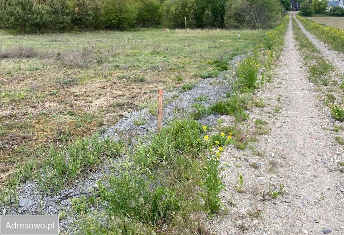 Działka budowlana Młyniec Drugi. Zdjęcie 4