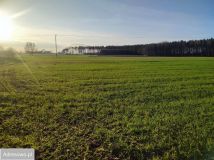 Działka rolna Koteże. Zdjęcie 3