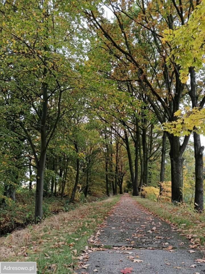 bliźniak, 4 pokoje Goczałkowice-Zdrój, ul. PCK. Zdjęcie 6