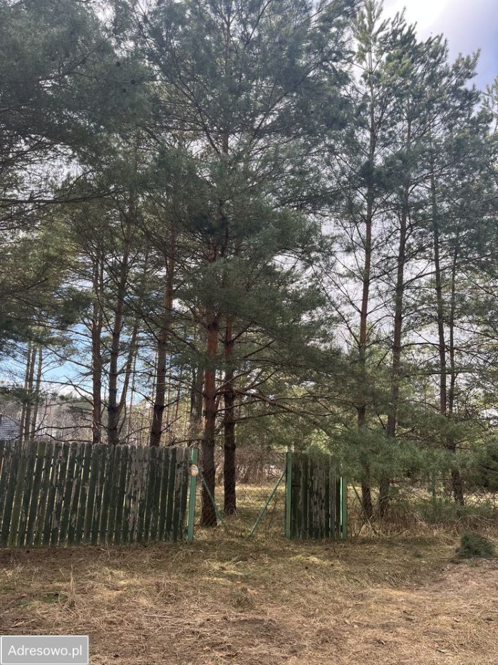 Działka rekreacyjna Wałpusz. Zdjęcie 4