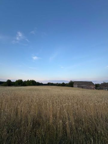 Działka budowlana Lipa. Zdjęcie 1