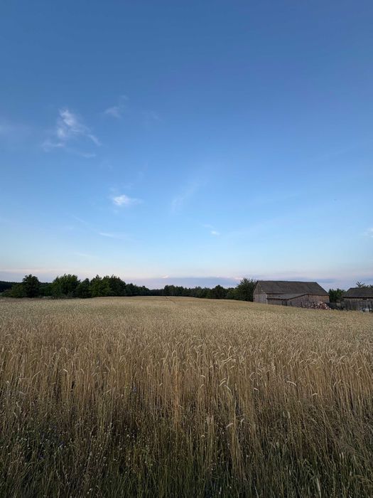 Działka budowlana Lipa