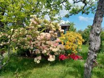 Działka rod Gdynia Oksywie, ul. Stanisława Żółkiewskiego. Zdjęcie 4