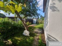 Działka rod Pruszcz Gdański. Zdjęcie 3