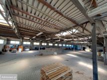 Działka inwestycyjna Złotkowo, ul. Złota. Zdjęcie 4