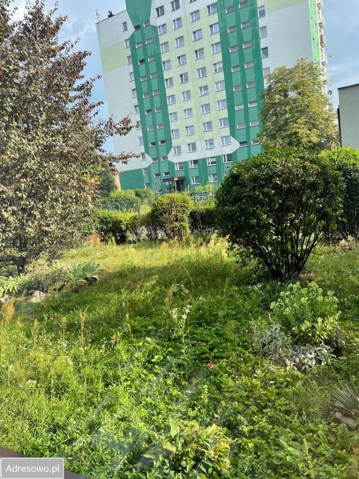Mieszkanie 1-pokojowe Siemianowice Śląskie Centrum, ul. Śląska. Zdjęcie 6