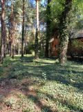 Działka budowlana Siamoszyce, ul. Edukacyjna. Zdjęcie 1