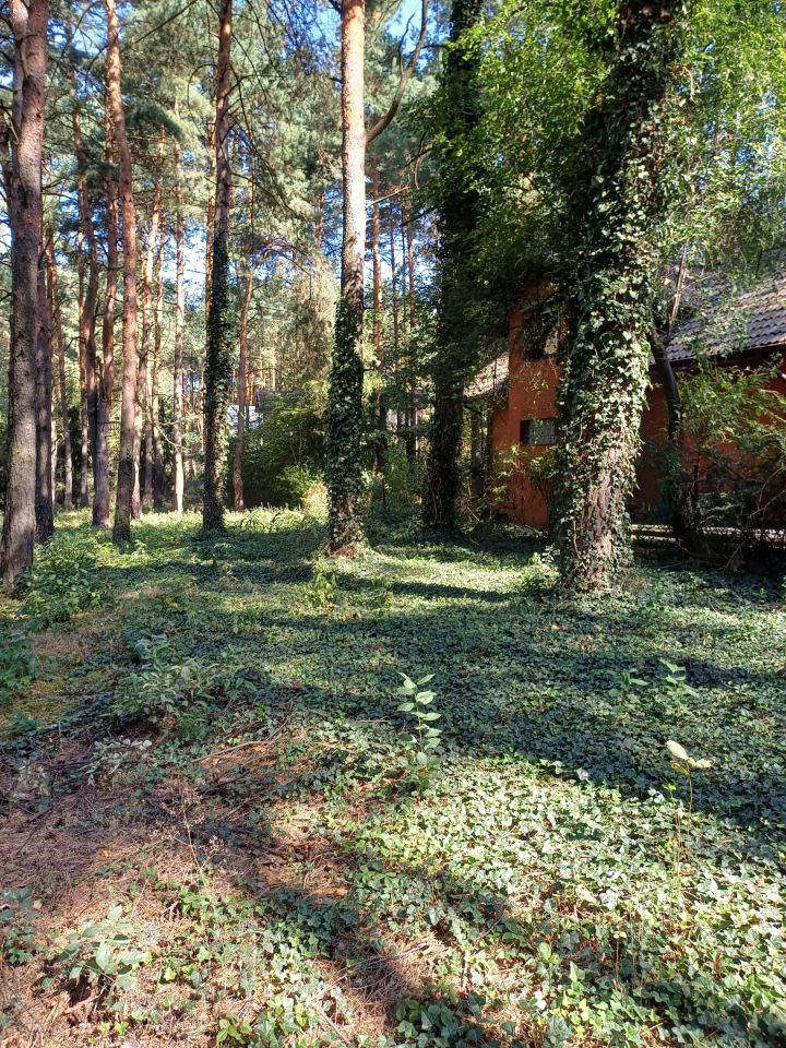 Działka budowlana Siamoszyce, ul. Edukacyjna. Zdjęcie 2