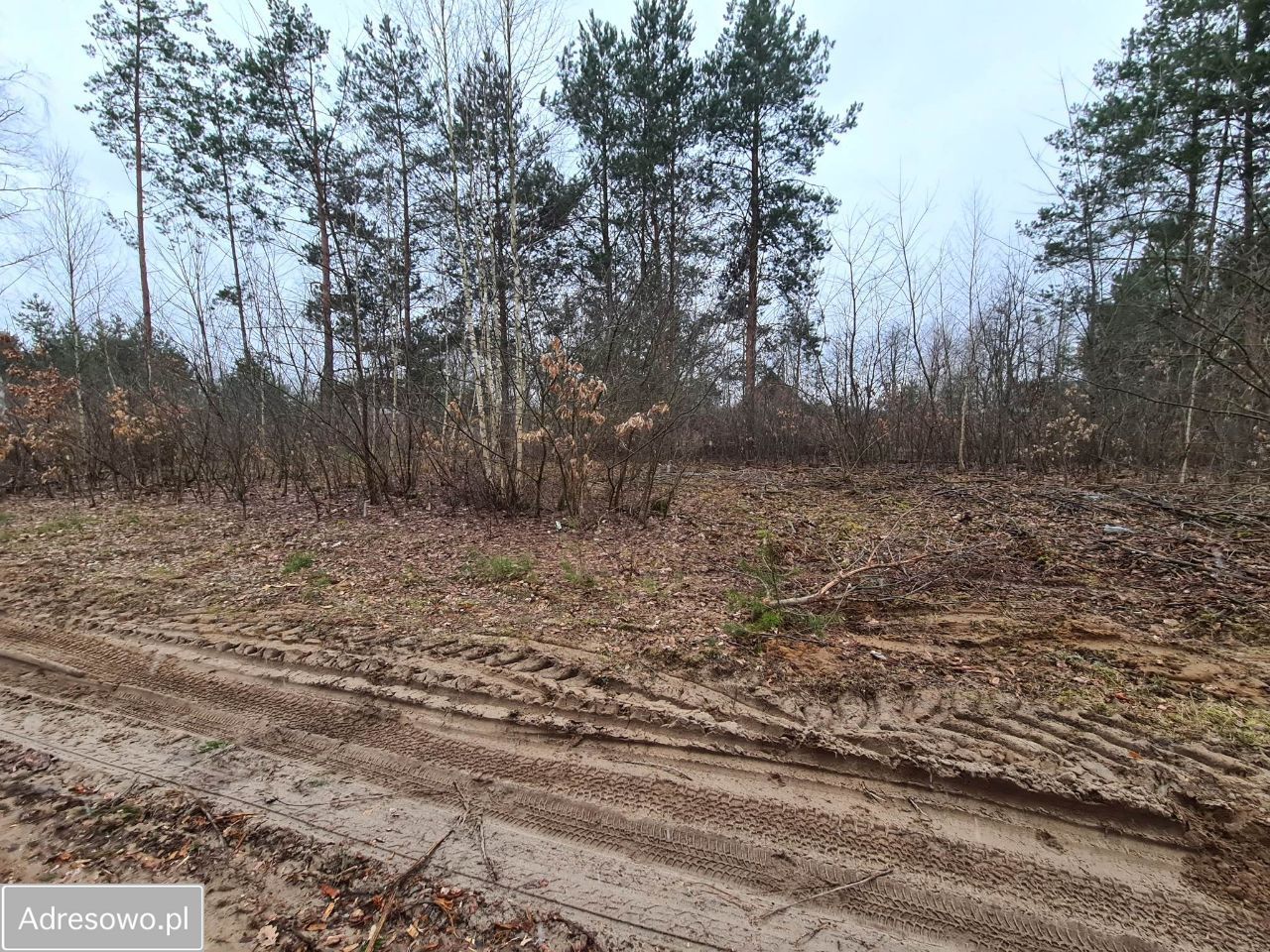 Działka rolno-budowlana Molendy. Zdjęcie 7