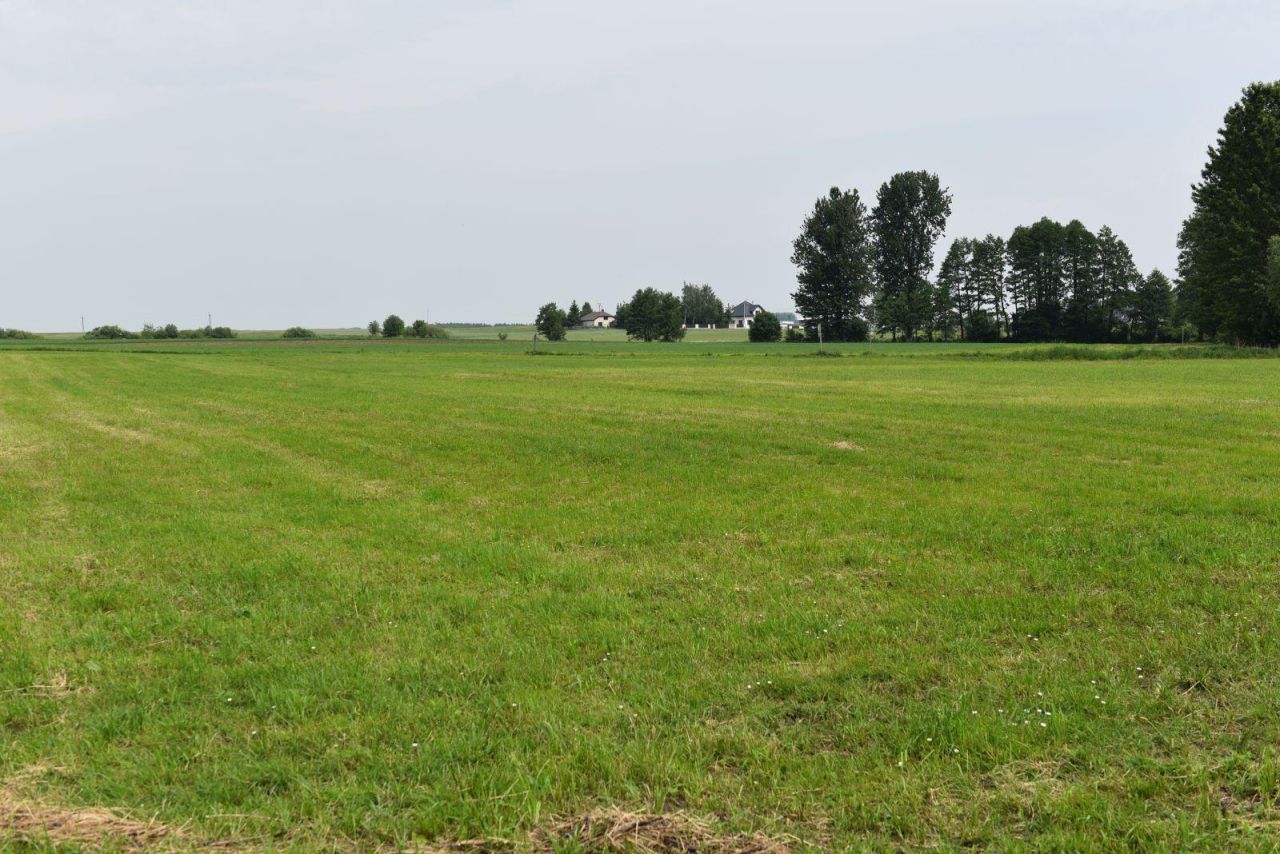 Działka budowlana Jarnuty. Zdjęcie 4