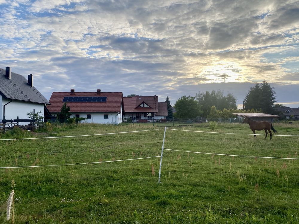 Działka budowlana Jezierzyce Kościelne. Zdjęcie 7