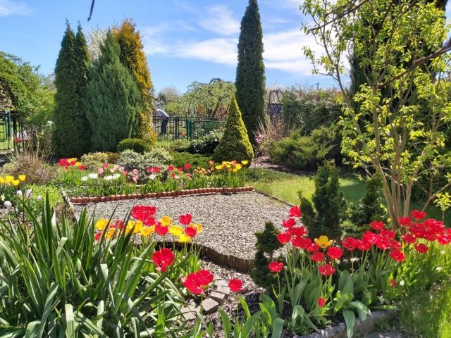 Działka rekreacyjna Rybnik, ul. Raciborska. Zdjęcie 1
