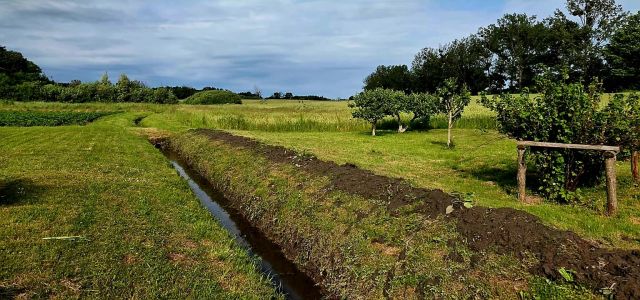 siedlisko, 4 pokoje Pierwągi. Zdjęcie 3