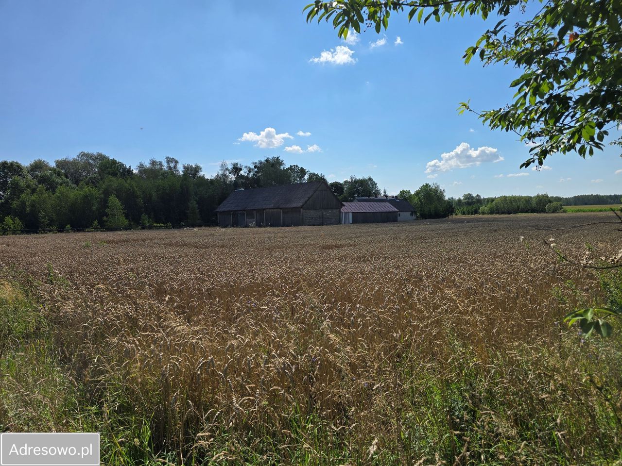 siedlisko, 3 pokoje Kuraszewo. Zdjęcie 18