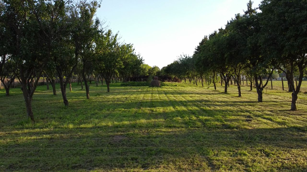 Działka rolno-budowlana Jarszewo. Zdjęcie 7