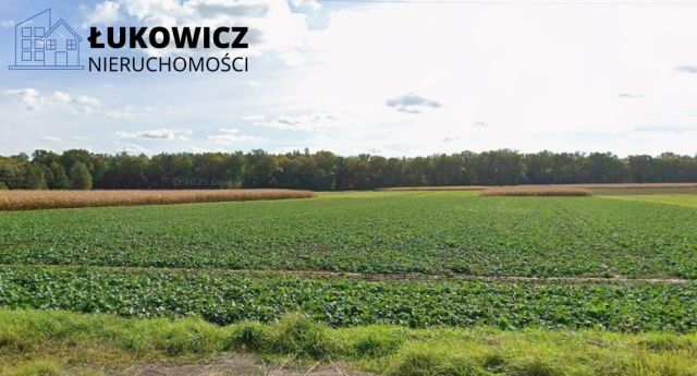 Działka inwestycyjna Goczałkowice-Zdrój. Zdjęcie 5