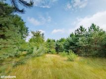 Działka siedliskowa Witowąż. Zdjęcie 4