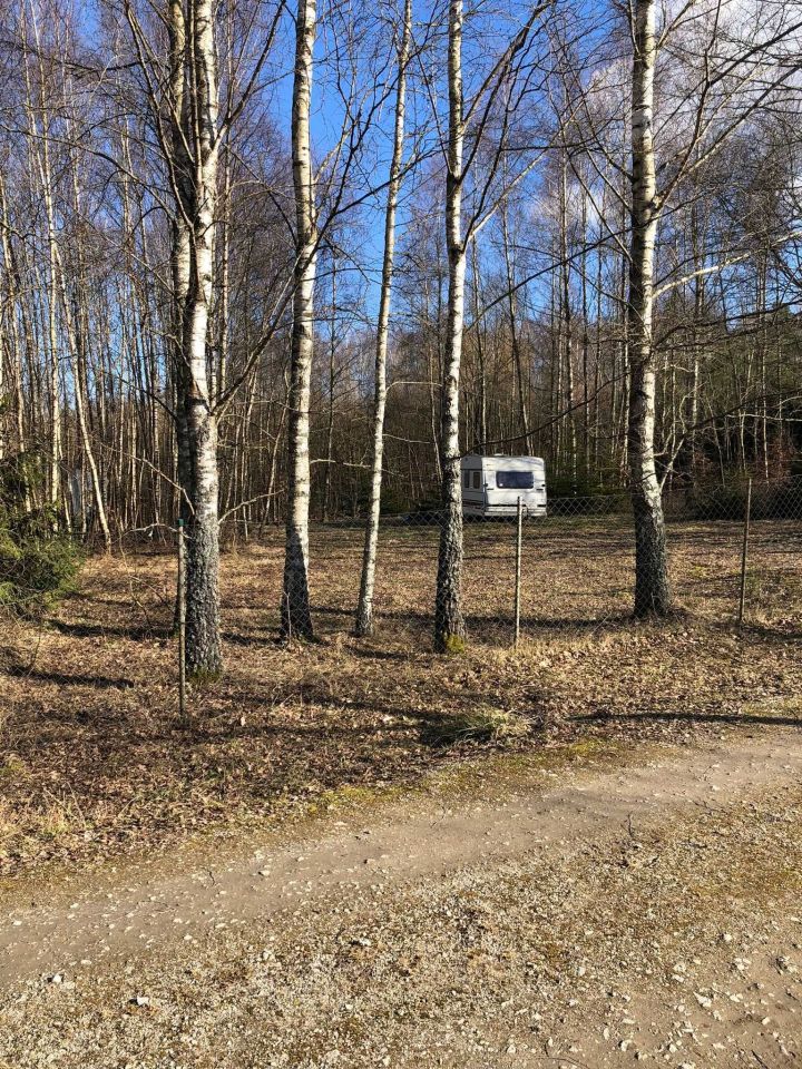 Działka budowlana Chrztowo. Zdjęcie 2