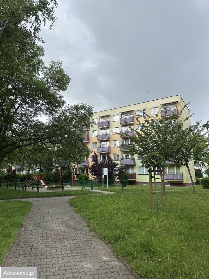 Mieszkanie 2-pokojowe Płock, ul. ks. Ignacego Lasockiego. Zdjęcie 17