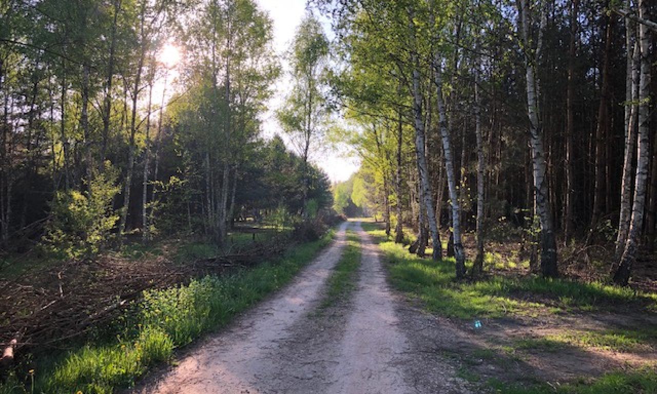Działka budowlana Tomaszew. Zdjęcie 7
