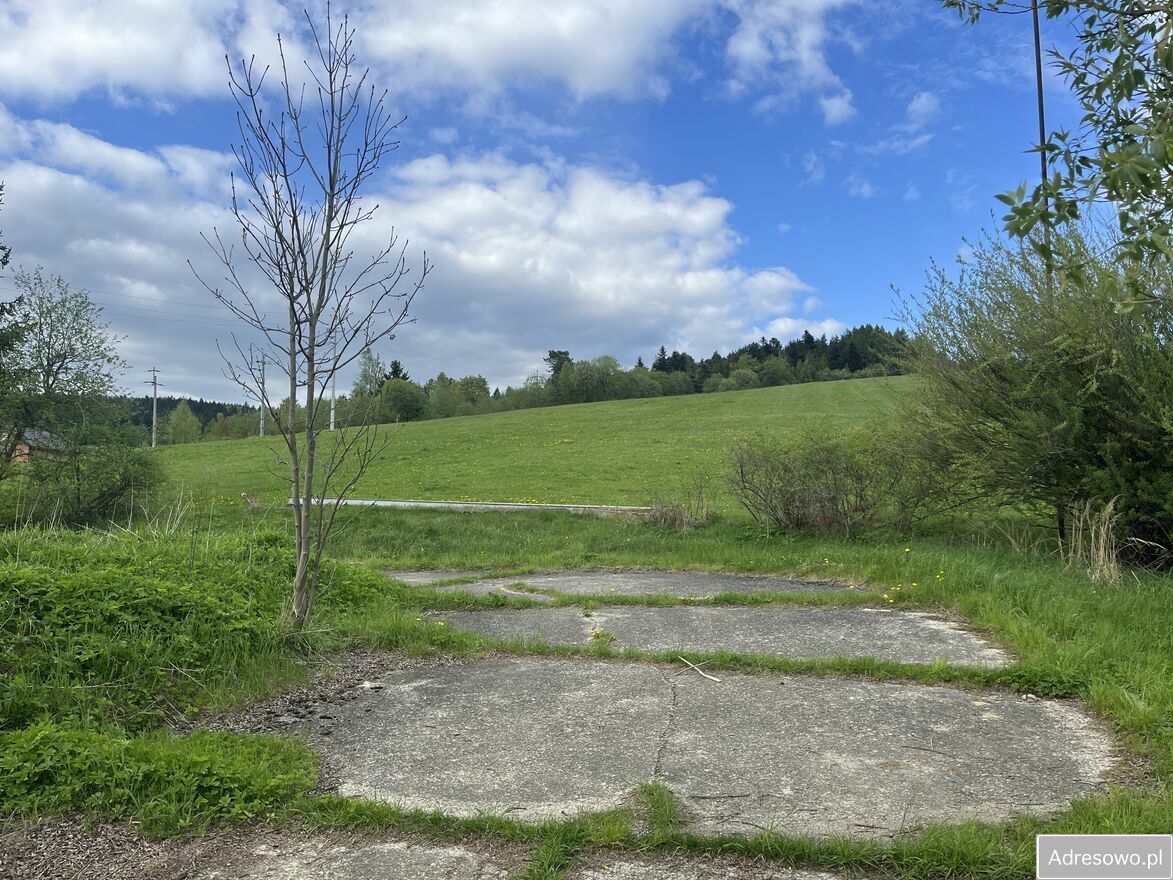 Działka inwestycyjna Mochnaczka Wyżna. Zdjęcie 6