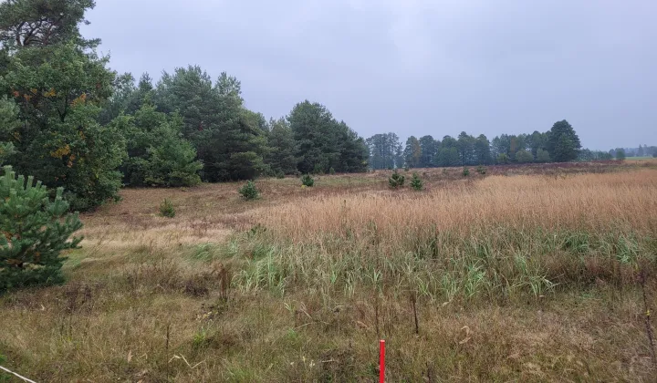 Działka rolna Gnaty