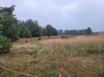 Działka rolna Gnaty