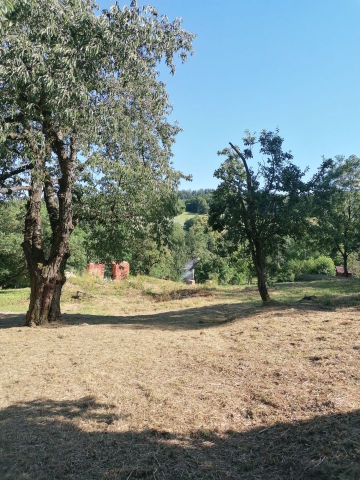 Działka rolno-budowlana Stare Rochowice, Stare Rochowice. Zdjęcie 11