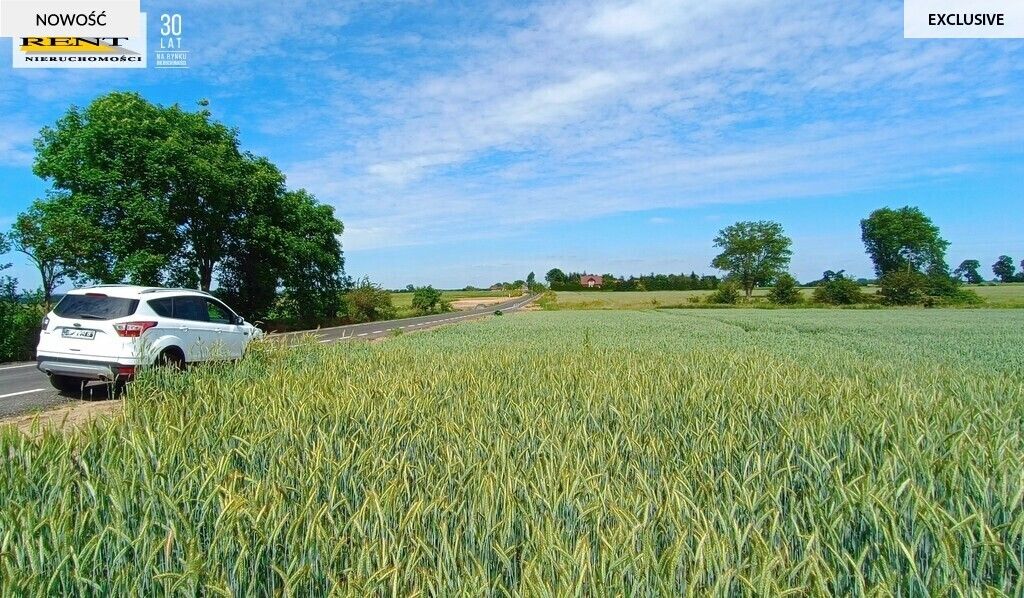 Działka siedliskowa Parsów. Zdjęcie 16
