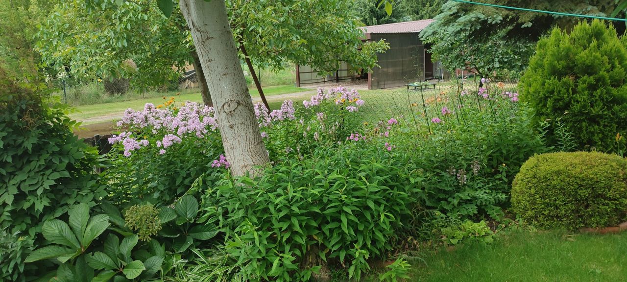 Działka inna Wrząca, ul. Wrzosowa. Zdjęcie 4