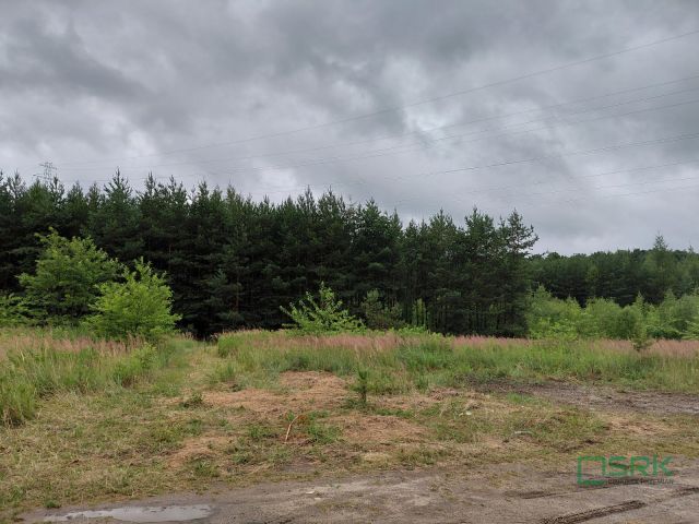 Działka Mysłowice, ul. Zacisze. Zdjęcie 2