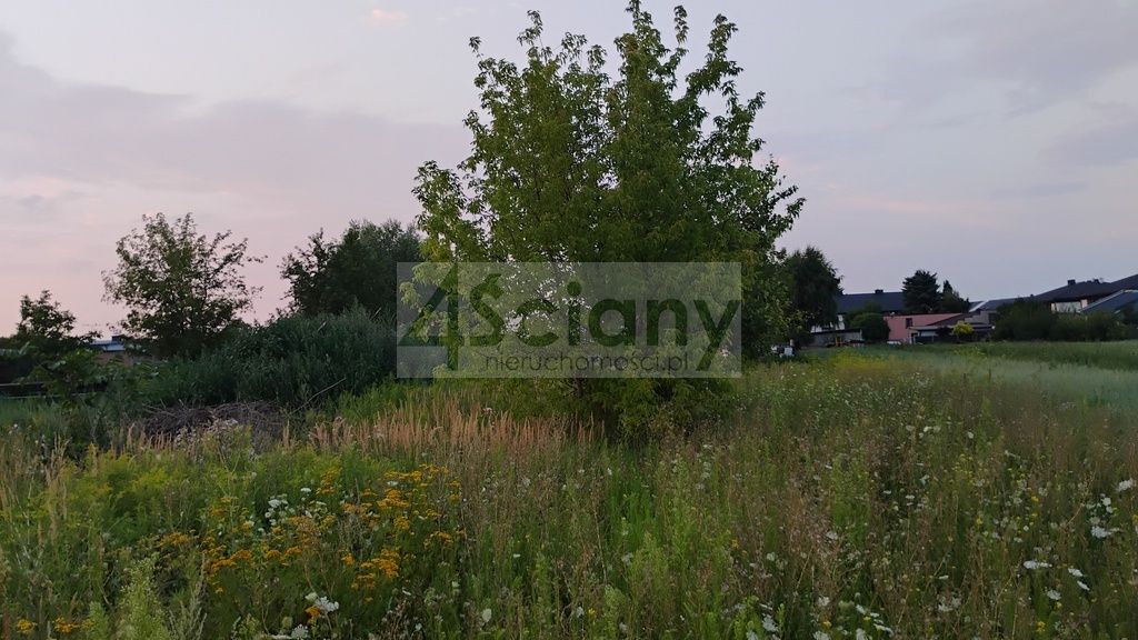 Działka inwestycyjna Nowa Wola. Zdjęcie 5