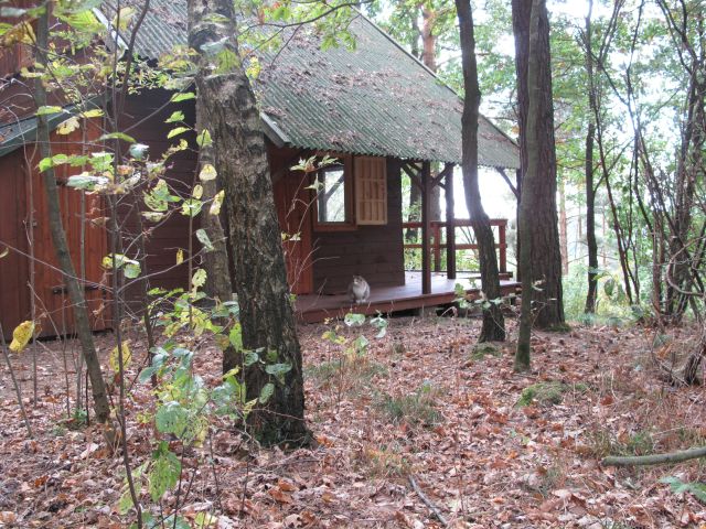 Działka rekreacyjna Kiełpiny. Zdjęcie 1