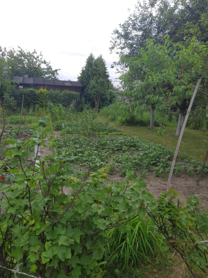 Działka rod Radom Potkanów, ul. Żelazna. Zdjęcie 3