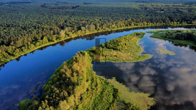 Działka rekreacyjna Gnojno. Zdjęcie 2