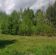 Działka budowlana Aleksandrów k. Wąsosza. Zdjęcie 2