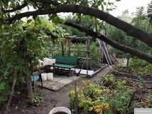 Działka rod Ostrowiec Świętokrzyski Kolonia Robotnicza, ul. Kolonia Robotnicza. Zdjęcie 3