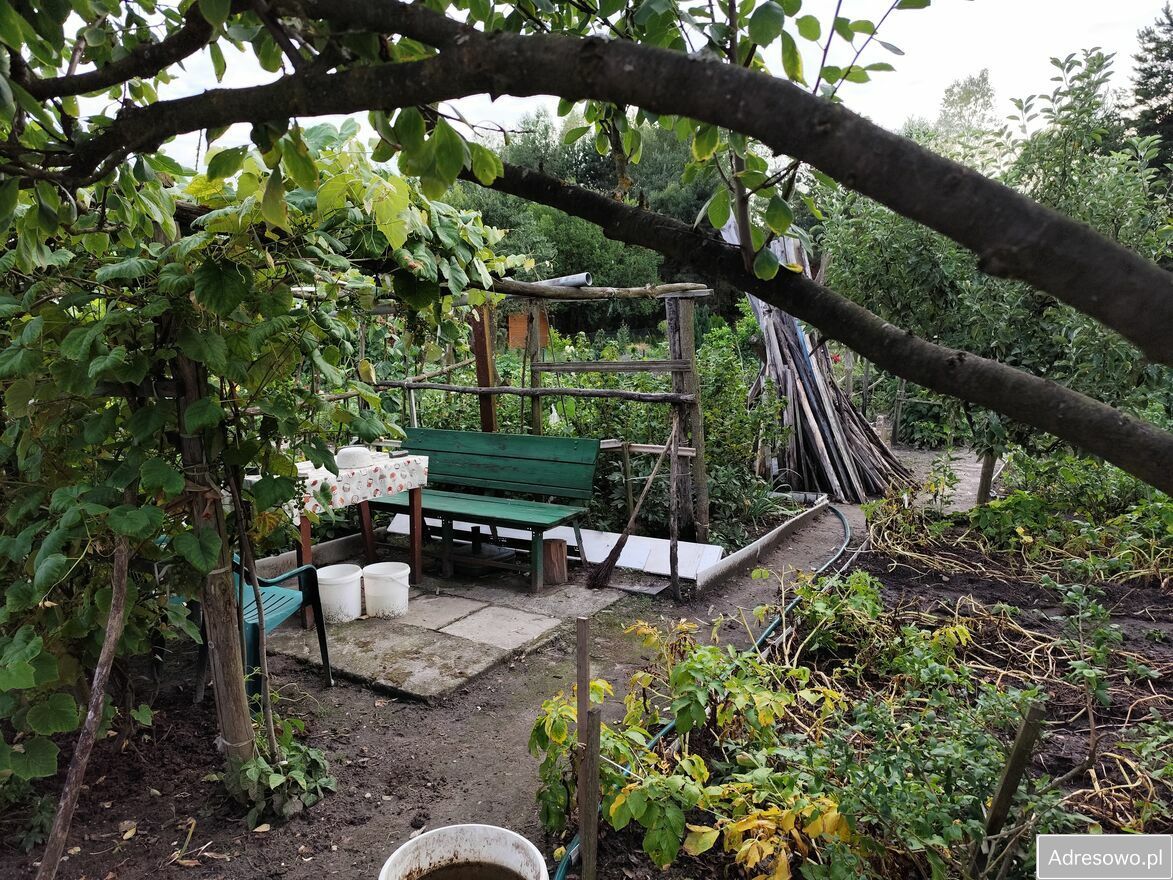 Działka rod Ostrowiec Świętokrzyski Kolonia Robotnicza, ul. Kolonia Robotnicza. Zdjęcie 4