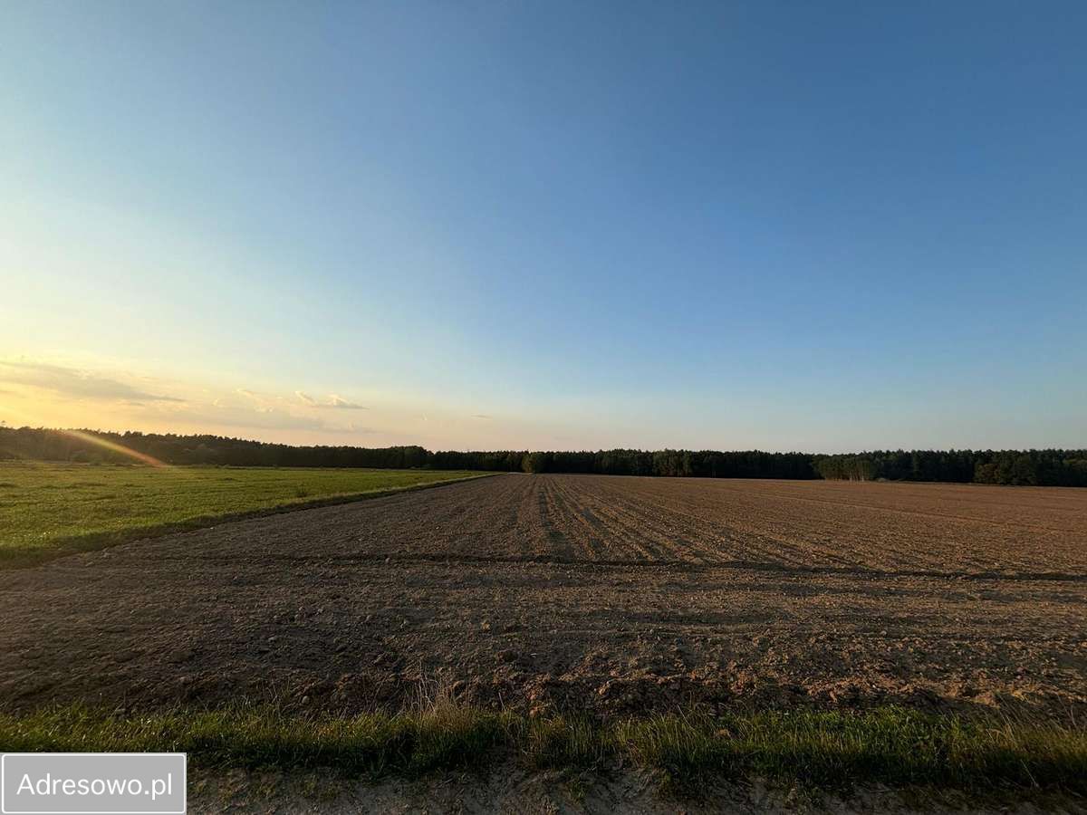 Działka budowlana Nowa Wieś Wschodnia. Zdjęcie 6
