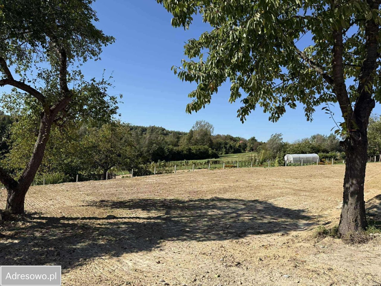 Działka budowlana Tyczyn, ul. Lasek. Zdjęcie 4