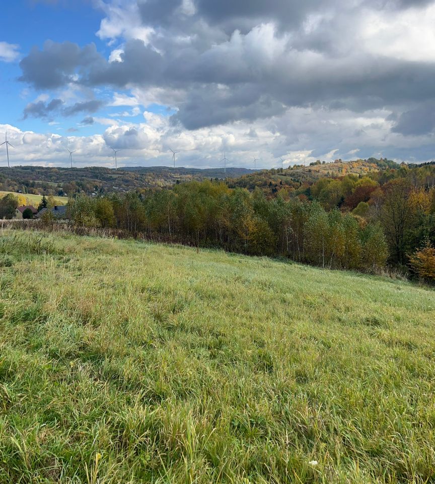 Działka rolna Wesoła. Zdjęcie 3