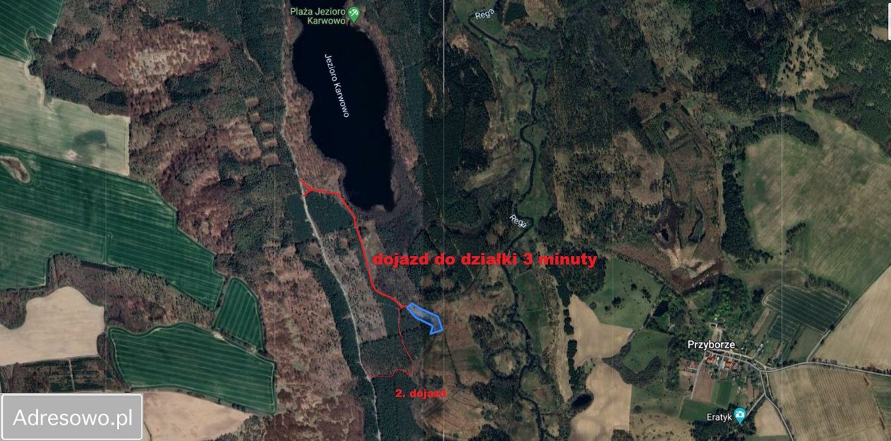 Działka rolna Smorawina. Zdjęcie 11
