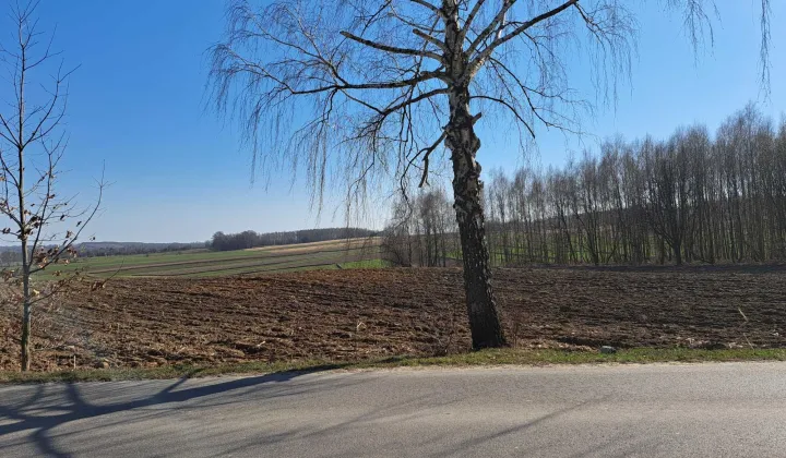 Działka rolna Rachodoszcze