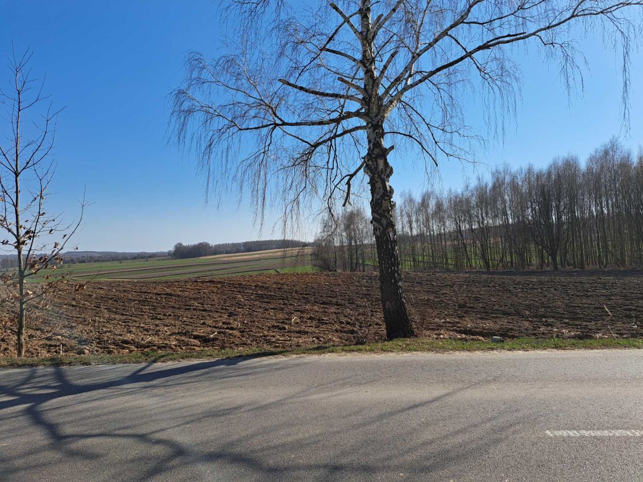 Działka rolna Rachodoszcze. Zdjęcie 1